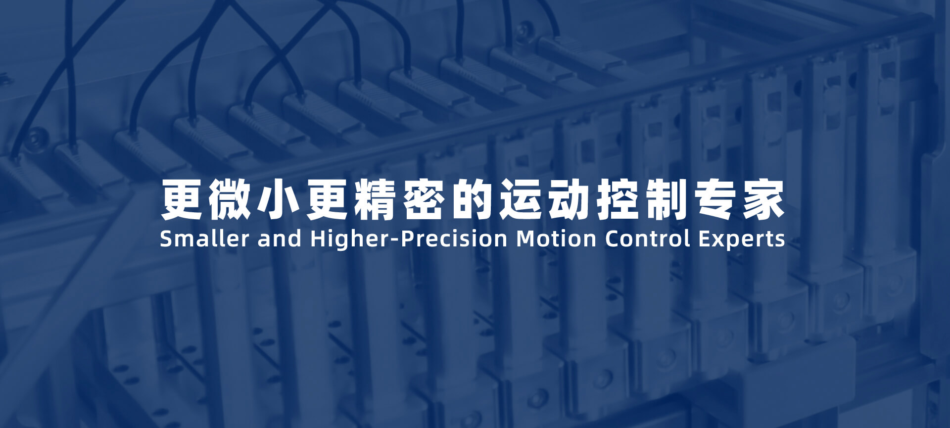 微小精密運(yùn)動(dòng)控制專家